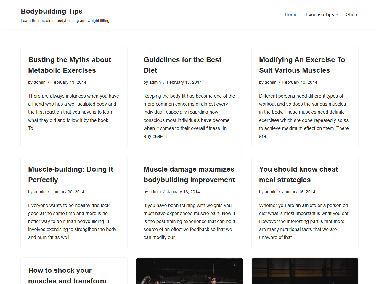 Bodybuilding Tips Website Design