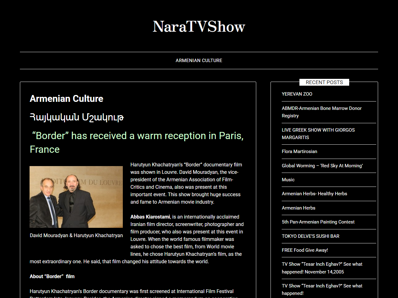 Nara's TV Show Website Design